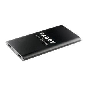 Branded Stamina Dual Power Bank