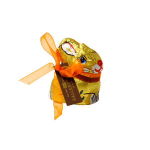 Chocolate Bunny